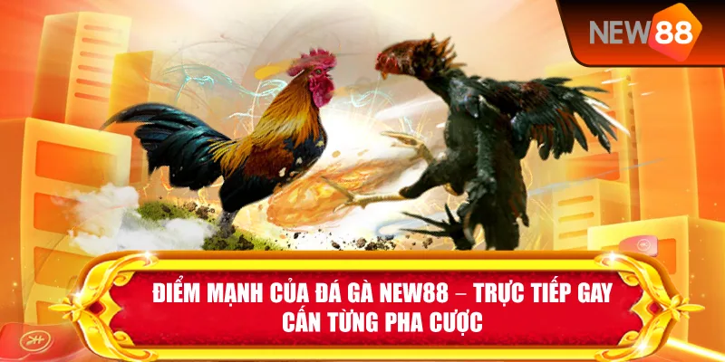 Điểm Mạnh Của Đá Gà New88 – Trực Tiếp Gay Cấn Từng Pha Cược